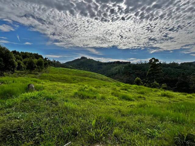 #1 - Chácara para Venda em Imaruí - SC