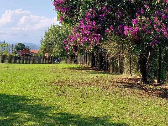 Terreno para Venda em Imbituba - 4
