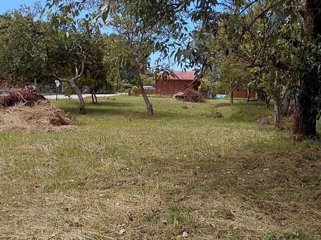 Área para Venda em Imbituba - 5