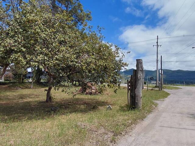 Venda em Araçatuba. - Imbituba
