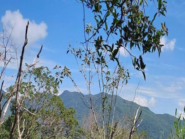 #47 - Área para Venda em Garopaba - SC