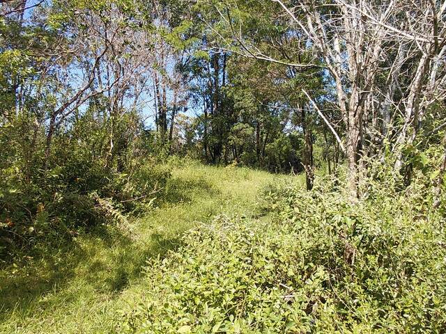 #47 - Área para Venda em Garopaba - SC