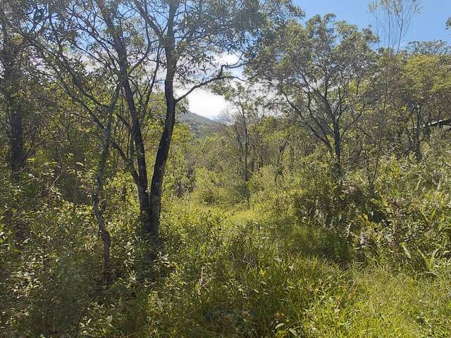 Área para Venda em Garopaba - 4