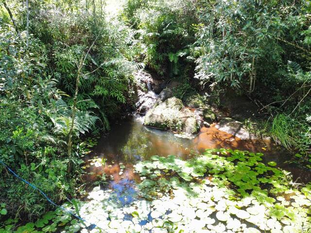 Área para Venda em Garopaba - 5